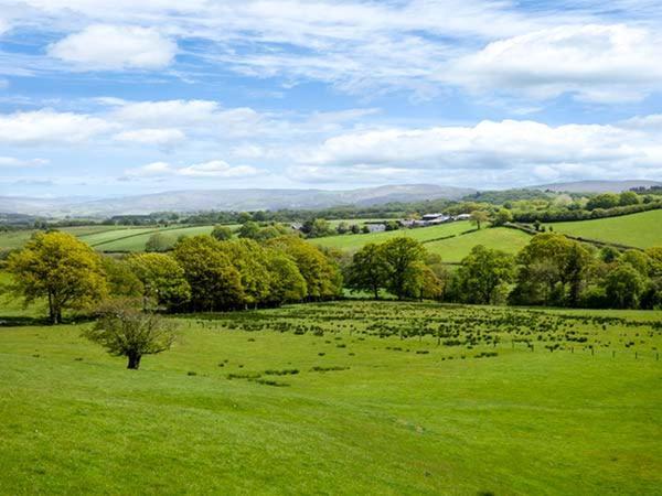 Black Mountain View Llanafan-fawr Екстериор снимка